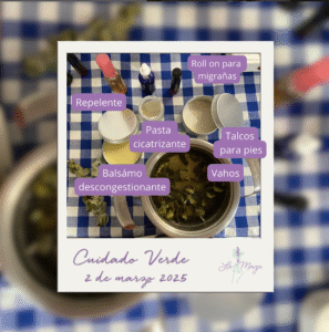 Inicio captura de pantalla 2025 09 10 182328