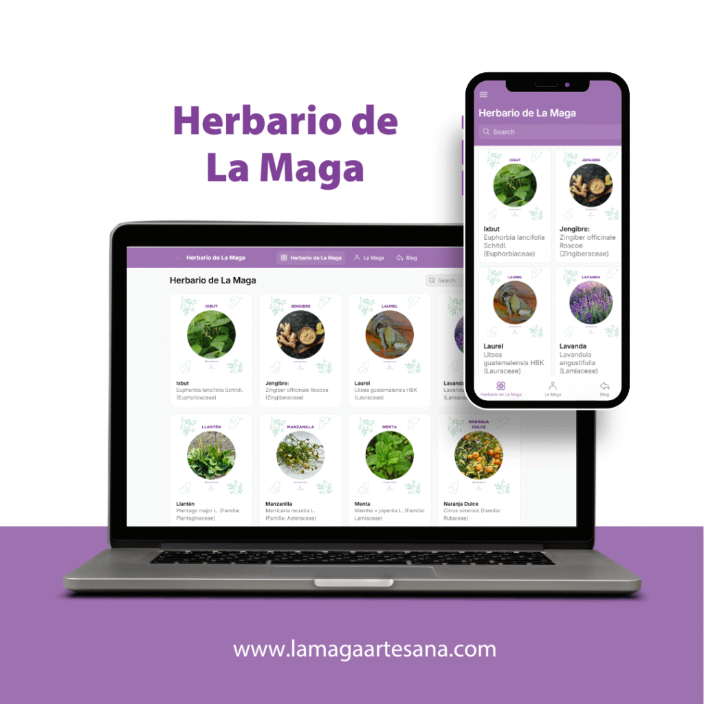 minimalist website launch computer mockup instagram post